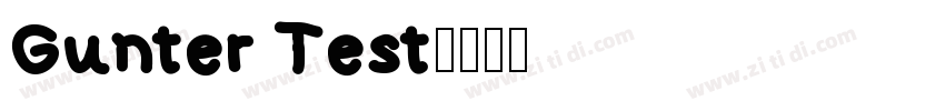 Gunter Test字体转换